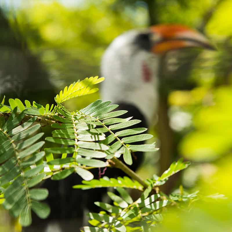 David Kulikes Sydney Geheimtipps – Die Top 10 abseits der Touristenpfade